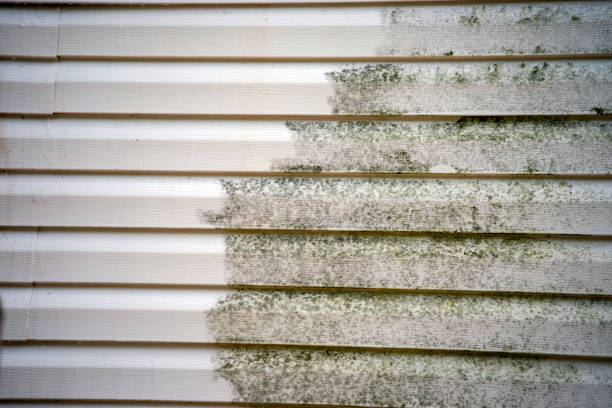 Best Carpet Removal and Disposal  in Spencer, IN